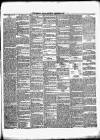 Dundalk Herald Saturday 06 November 1880 Page 3