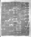 Dundalk Herald Saturday 25 March 1882 Page 3