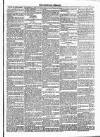 Dundalk Herald Saturday 09 February 1884 Page 5