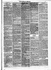 Dundalk Herald Saturday 23 February 1884 Page 3