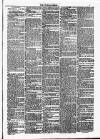 Dundalk Herald Saturday 22 March 1884 Page 3