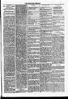 Dundalk Herald Saturday 14 February 1885 Page 3