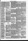 Dundalk Herald Saturday 14 February 1885 Page 5