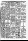 Dundalk Herald Saturday 14 February 1885 Page 7