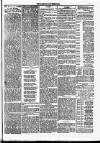 Dundalk Herald Saturday 21 February 1885 Page 3