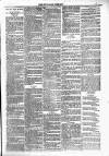Dundalk Herald Saturday 25 April 1885 Page 3