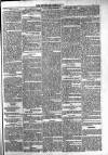 Dundalk Herald Saturday 25 April 1885 Page 5