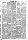 Dundalk Herald Saturday 01 August 1885 Page 3