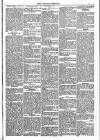 Dundalk Herald Saturday 01 August 1885 Page 5