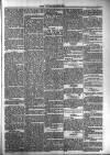 Dundalk Herald Saturday 28 November 1885 Page 5