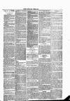 Dundalk Herald Saturday 09 January 1886 Page 3