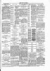 Dundalk Herald Saturday 16 January 1886 Page 7