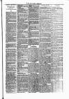 Dundalk Herald Saturday 24 April 1886 Page 3