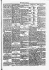 Dundalk Herald Saturday 24 April 1886 Page 5
