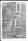 Dundalk Herald Saturday 11 September 1886 Page 3