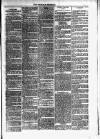 Dundalk Herald Saturday 04 December 1886 Page 3