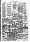 Dundalk Herald Saturday 15 January 1887 Page 3