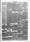 Dundalk Herald Saturday 15 January 1887 Page 5