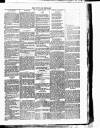 Dundalk Herald Saturday 12 February 1887 Page 3