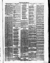 Dundalk Herald Saturday 26 February 1887 Page 3