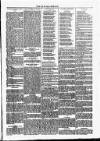 Dundalk Herald Saturday 12 March 1887 Page 3