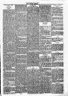 Dundalk Herald Saturday 14 April 1888 Page 3