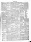 Dundalk Herald Saturday 02 February 1889 Page 3