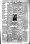 Dundalk Herald Saturday 21 January 1893 Page 3