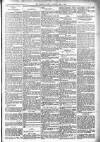 Dundalk Herald Saturday 04 February 1893 Page 5