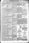 Dundalk Herald Saturday 03 June 1893 Page 3