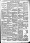 Dundalk Herald Saturday 12 August 1893 Page 3