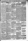 Dundalk Herald Saturday 18 November 1893 Page 5