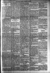 Dundalk Herald Saturday 13 January 1894 Page 5