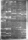 Dundalk Herald Saturday 10 February 1894 Page 5