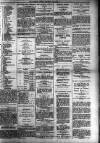 Dundalk Herald Saturday 10 February 1894 Page 7