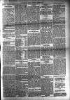 Dundalk Herald Saturday 24 March 1894 Page 3