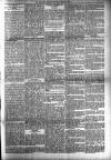 Dundalk Herald Saturday 24 March 1894 Page 5