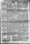Dundalk Herald Saturday 26 May 1894 Page 5