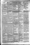 Dundalk Herald Saturday 02 June 1894 Page 3