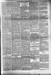 Dundalk Herald Saturday 02 June 1894 Page 5