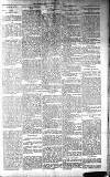 Dundalk Herald Saturday 04 January 1896 Page 5