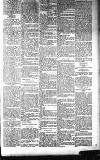 Dundalk Herald Saturday 18 January 1896 Page 5