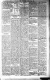 Dundalk Herald Saturday 08 February 1896 Page 5