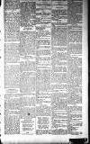 Dundalk Herald Saturday 31 October 1896 Page 5