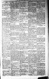 Dundalk Herald Saturday 21 November 1896 Page 3
