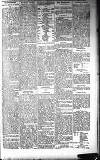 Dundalk Herald Saturday 12 December 1896 Page 5