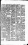 Clare Freeman and Ennis Gazette Saturday 30 October 1858 Page 5