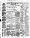 Clare Freeman and Ennis Gazette Saturday 03 February 1877 Page 2