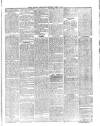 Tower Hamlets Independent and East End Local Advertiser Saturday 04 April 1874 Page 5