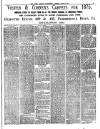 Tower Hamlets Independent and East End Local Advertiser Saturday 26 June 1875 Page 7